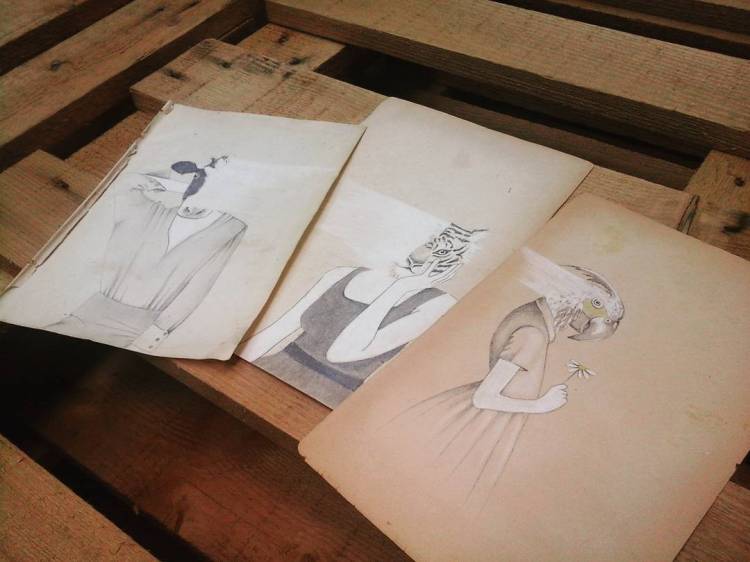 12479625_115790575502197_1490254427_n(1)